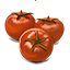 Tomato Icon.png