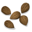 PalmSeed Icon.png