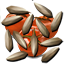 TomatoSeed Icon.png