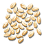 Rice Icon.png