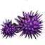 Urchin Icon.png