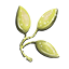 SeagrassSeed Icon.png