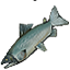 Salmon Icon.png
