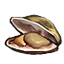 Clam Icon.png