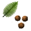 FernSpore Icon.png