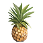 Pineapple Icon.png