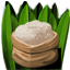 Sugarcane Icon.png