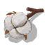 CottonBoll Icon.png