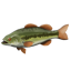 Bass Icon.png
