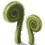 Fiddleheads Icon.png