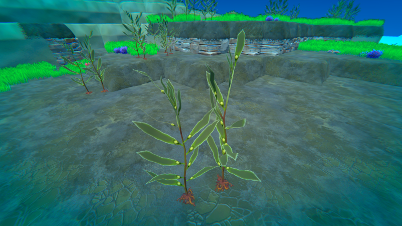 File:Kelp Plant.png
