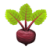Beet Icon.png