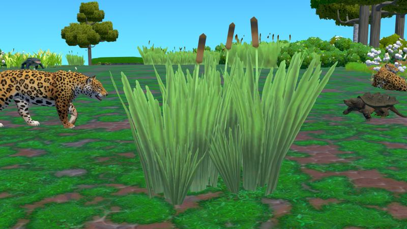 File:Bullrush Plant.png