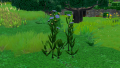 Thumbnail for version as of 01:20, 23 June 2025