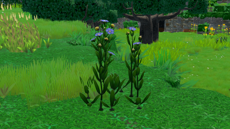 File:Flax Plant.png