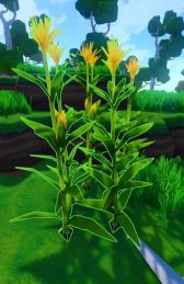 Corn - Eco - English Wiki