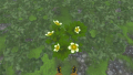 Thumbnail for version as of 01:24, 23 June 2025