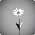 Thumbnail for version as of 06:13, 12 September 2025
