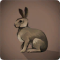 Thumbnail for version as of 21:13, 26 April 2026