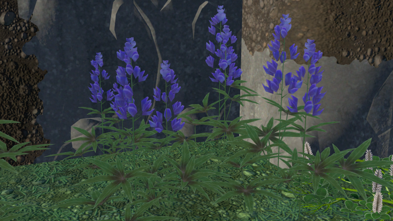 File:Lupine Plant.png