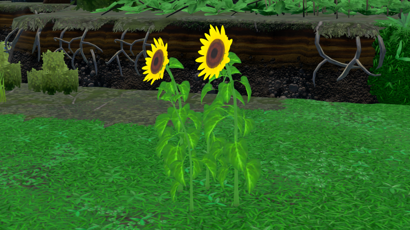 File:Sunflower Plant.png
