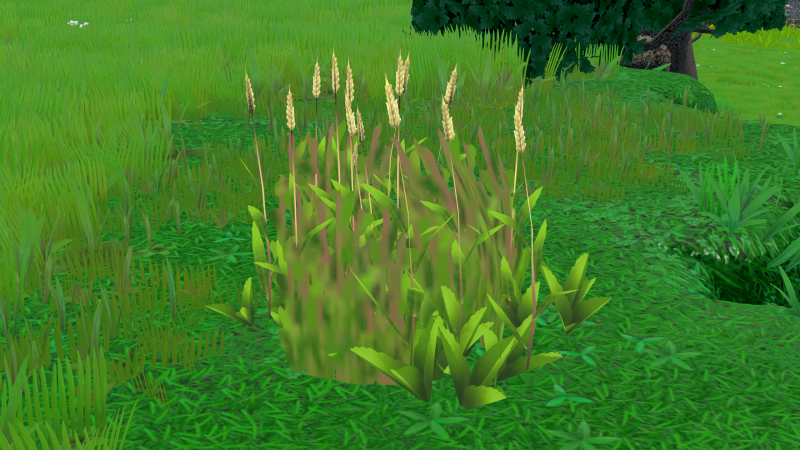 File:Wheat Plant.png