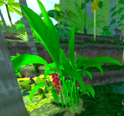 Heliconia Plant.png