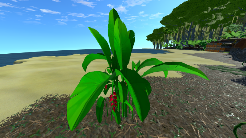 File:Heliconia Plant.png