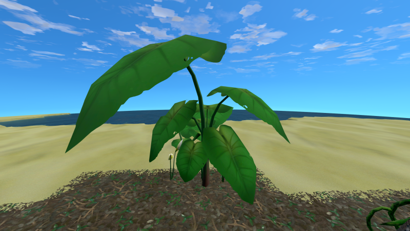 File:Taro Plant.png