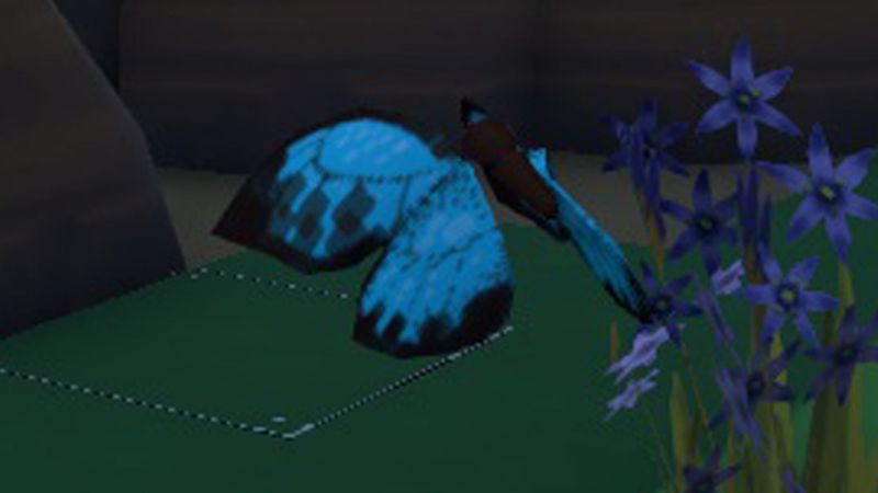 File:Butterflies up-close.jpg