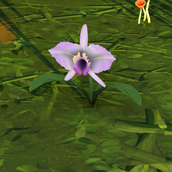 File:Orchid Plant.png