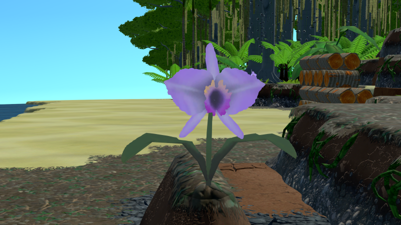 File:Orchid Plant.png
