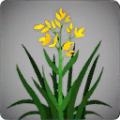 Thumbnail for version as of 14:31, 13 May 2024