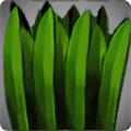 Thumbnail for version as of 14:31, 13 May 2024