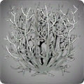 Thumbnail for version as of 14:32, 13 May 2024