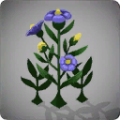 Thumbnail for version as of 14:31, 13 May 2024
