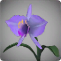 Thumbnail for version as of 14:31, 13 May 2024