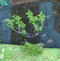 Thumbnail for version as of 01:51, 12 May 2021