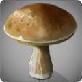 Thumbnail for version as of 14:31, 13 May 2024