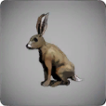 Thumbnail for version as of 14:31, 13 May 2024
