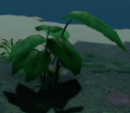 Thumbnail for version as of 20:46, 2 January 2022