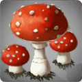 Thumbnail for version as of 14:31, 13 May 2024