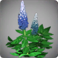Thumbnail for version as of 14:31, 13 May 2024