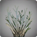 Thumbnail for version as of 14:31, 13 May 2024
