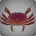 Thumbnail for version as of 14:31, 13 May 2024