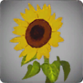 Thumbnail for version as of 14:31, 13 May 2024