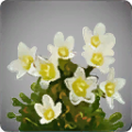 Thumbnail for version as of 14:31, 13 May 2024