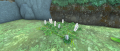 Thumbnail for version as of 01:46, 12 May 2021