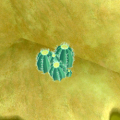 Thumbnail for version as of 15:52, 15 October 2020