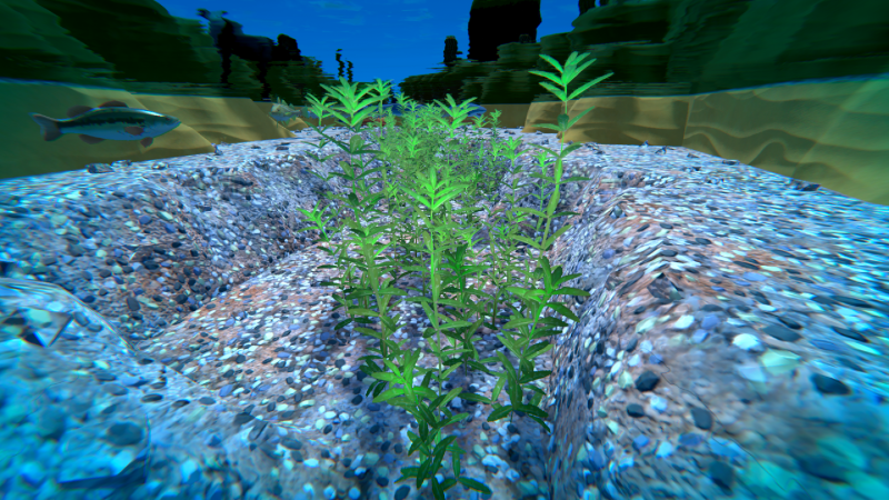 File:Waterweed Plant.png
